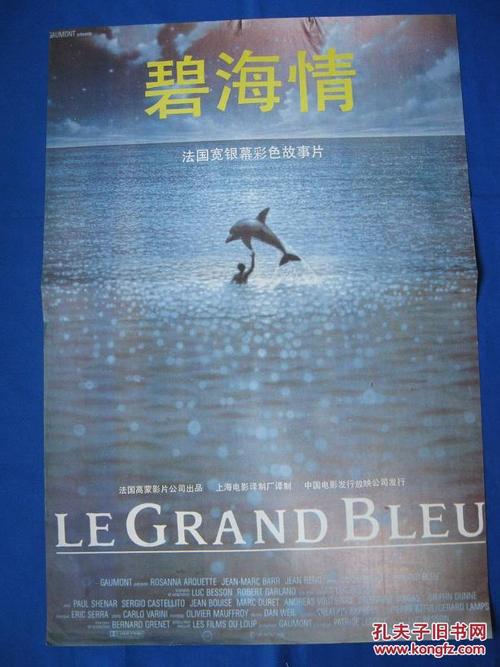 买假大学档案